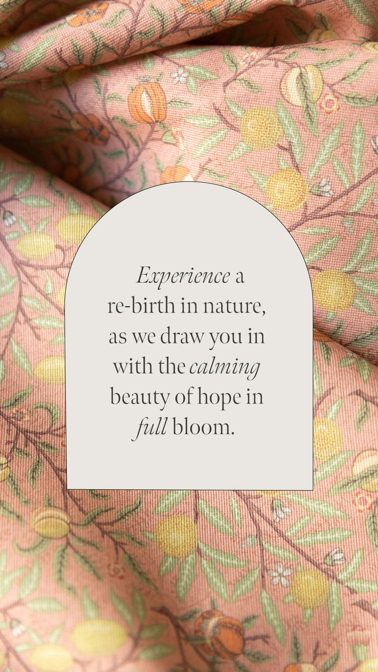 Experience a re-birth in nature, as we draw you in with the calming beauty of hope in full bloom.